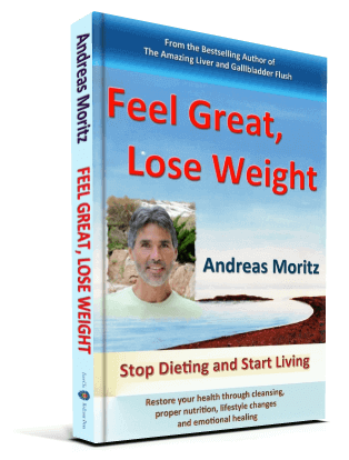 feel great lose weight